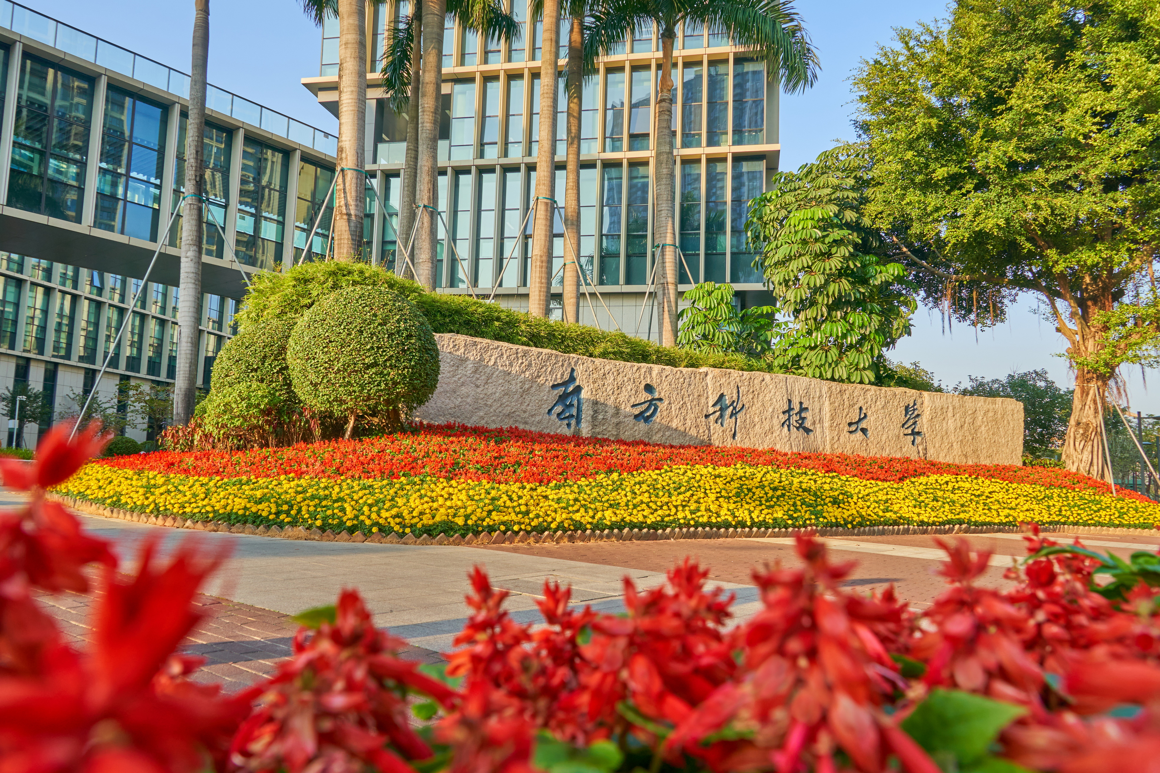 放慢脚步，来一场与美的邂逅