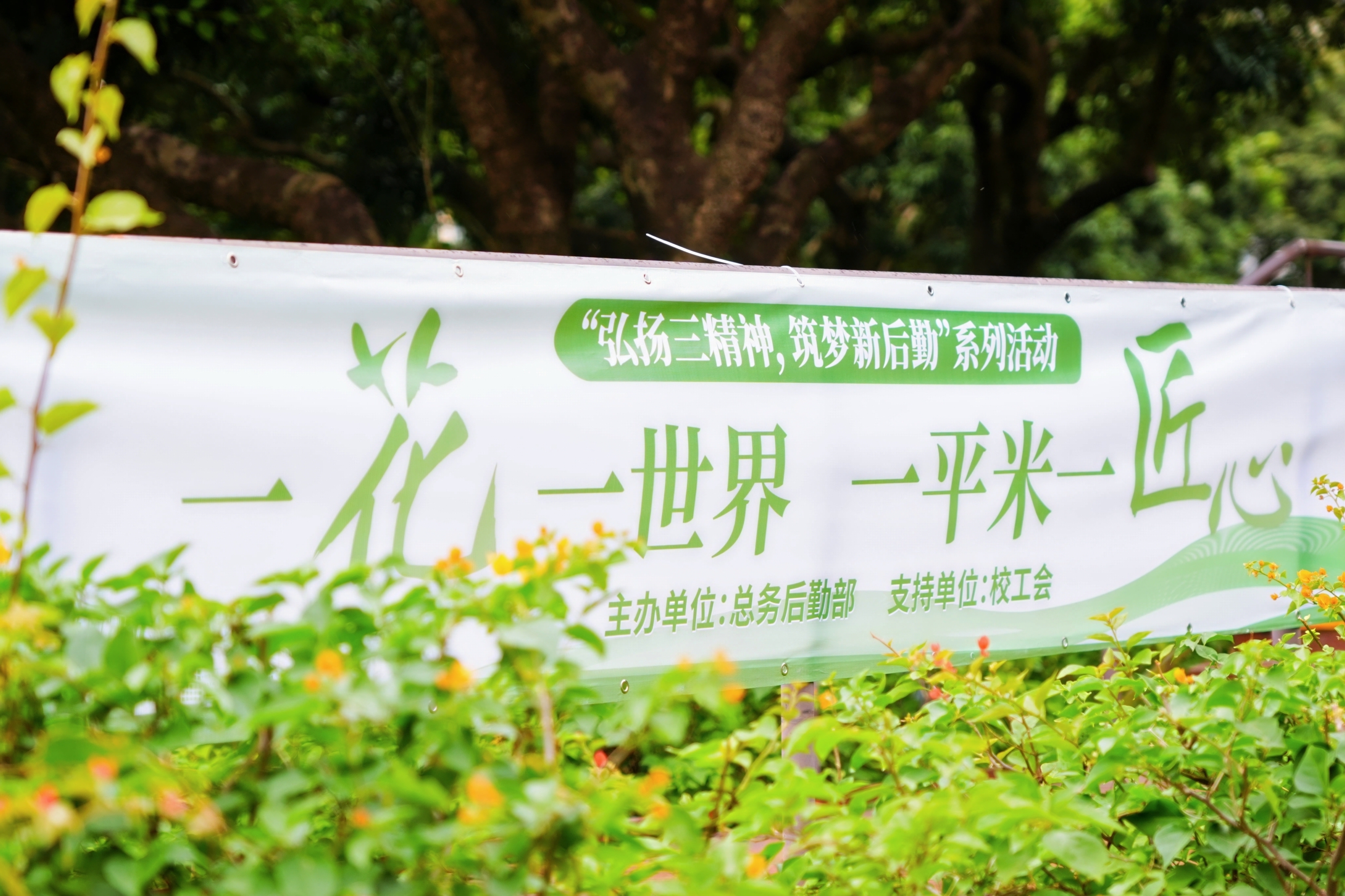 种个春天，治愈一冬！