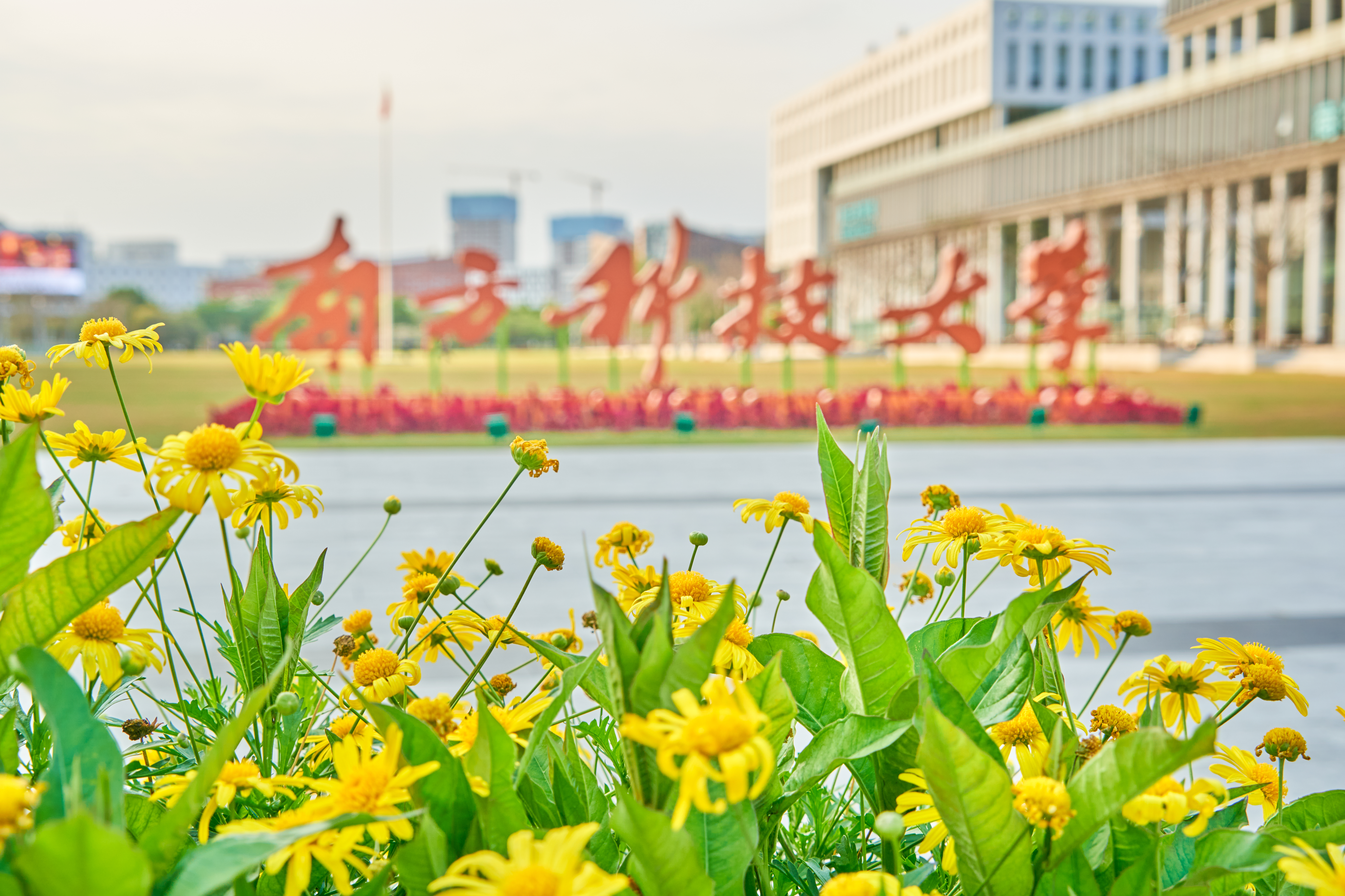 游园会预热 | 速传#最美南科大！赢掌上花园