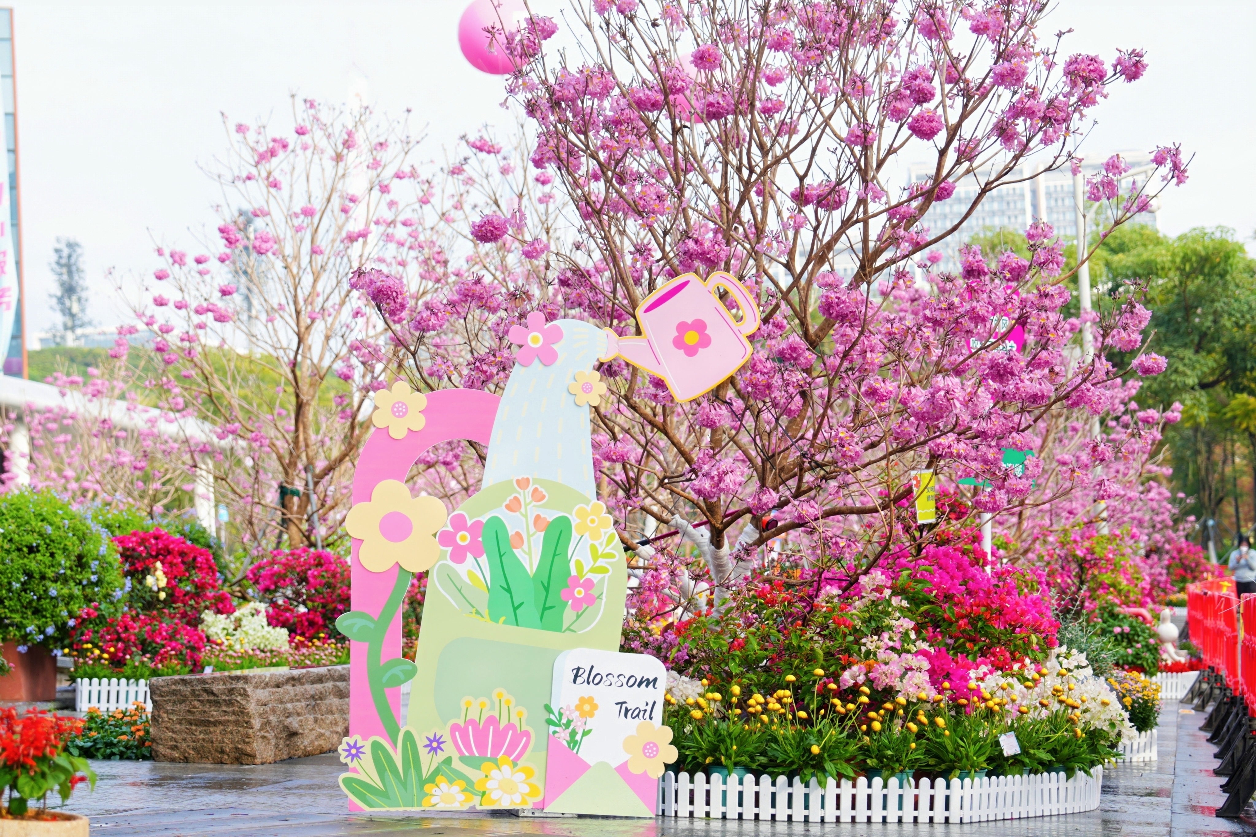 风铃摇响 花径未眠｜南科大浪漫跨年邀约